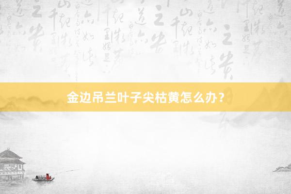 金边吊兰叶子尖枯黄怎么办？