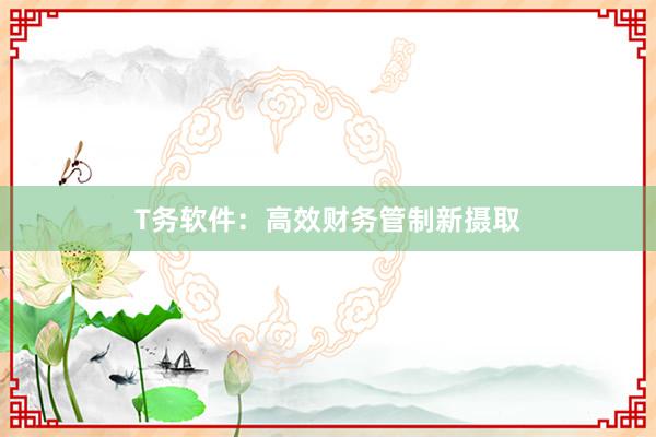 T务软件：高效财务管制新摄取