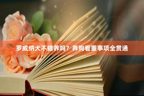 罗威纳犬不错养吗？养狗看重事项全贯通